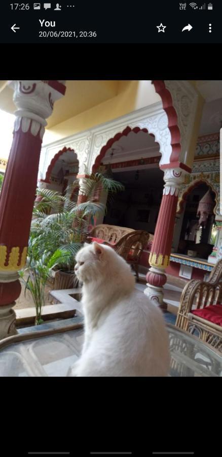 Sureli Haveli Lejlighed Jaipur Eksteriør billede