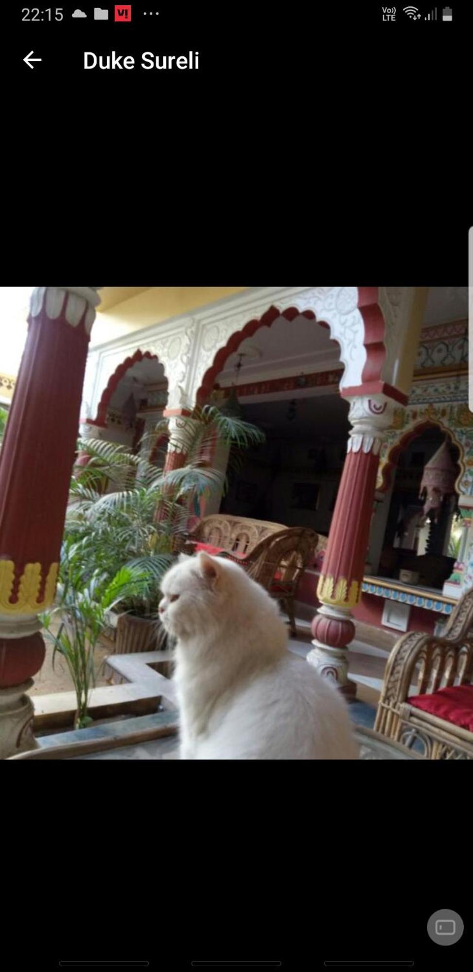 Sureli Haveli Lejlighed Jaipur Værelse billede
