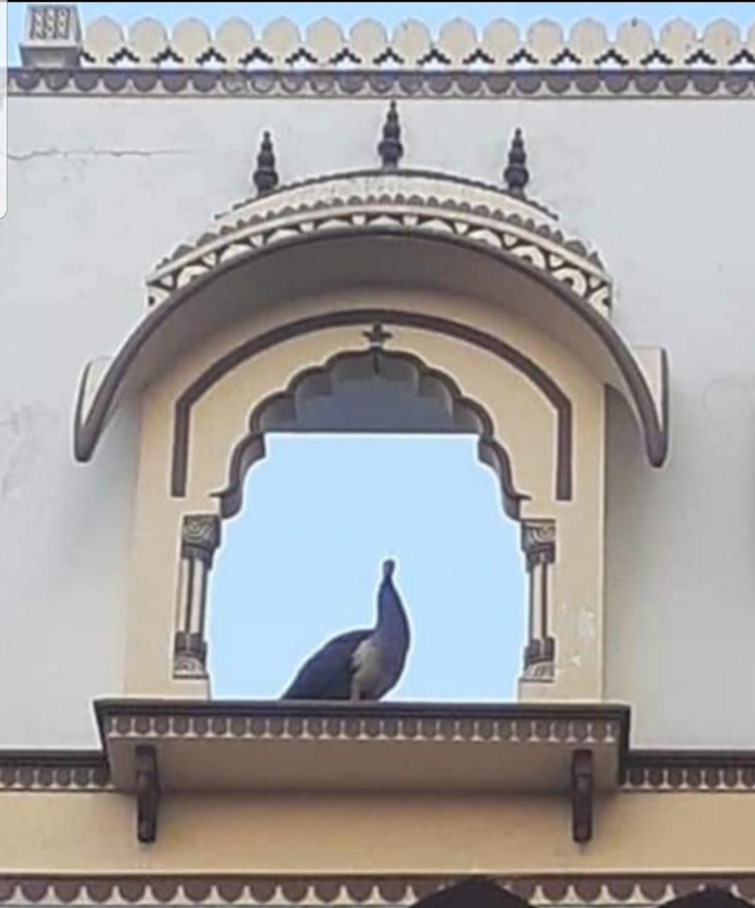 Sureli Haveli Lejlighed Jaipur Eksteriør billede